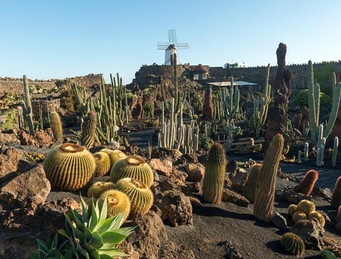 Calypso, Apartamento Completo Con Vistas Al Mar Y A La Piscina En Costa Teguise Kültér fotó